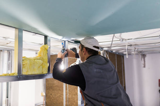 Best Insulation Replacement Services  in Pulaski, NY