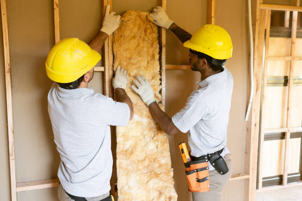 Best Insulation for New Construction  in Pulaski, NY