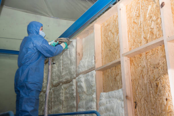 Best Home Insulation Services  in Pulaski, NY