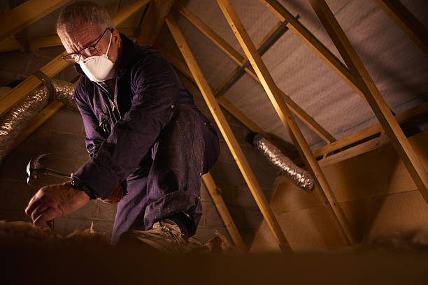 Best Spray Foam Insulation  in Pulaski, NY